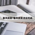春天蔬菜?春天蔬菜浇水时间